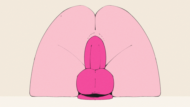 flou+oolay-tiger+pixiewillow+volkororiginal character60ef52ea56ce4a245004d6aa42e2812d